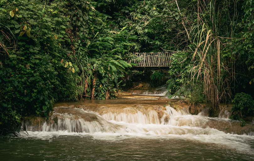 Những Con Số Ấn Tượng